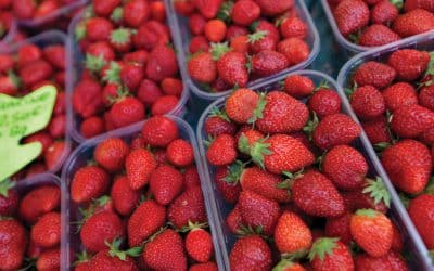 Strawberry fields forever: Six amazing health benefits of eating strawberries and their tops