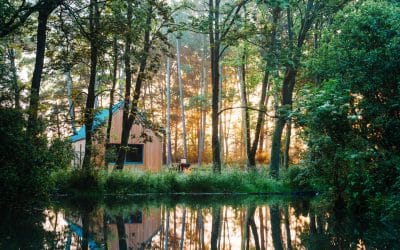 Golden slumbers: 10 glorious woodland retreats for an autumn break