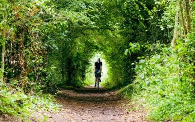 Lost lanes of the Midlands: Five great cycle routes in the heart of England