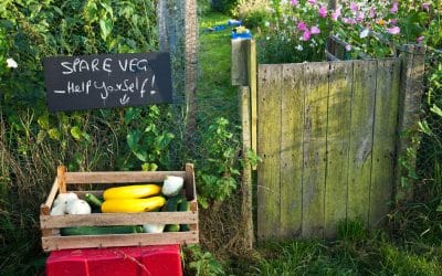 Sustainable gardening: Ways to be less wasteful in the garden