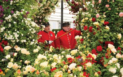 RHS Chelsea Flower Show 2017