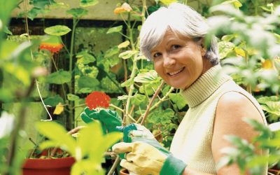 Half an hour of gardening ‘can cut the risk of a heart attack’