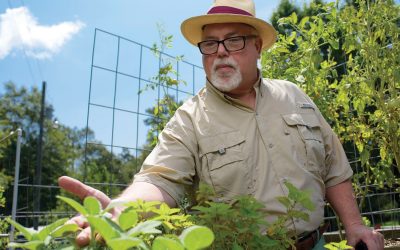 Glorious gardening: The benefits  of having ‘green fingers’ over 50