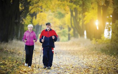 Golden trails: The best Autumn colour walks to lift your spirits