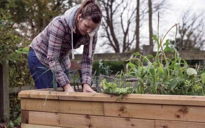 Raised beds: Give your garden a boost this Summer