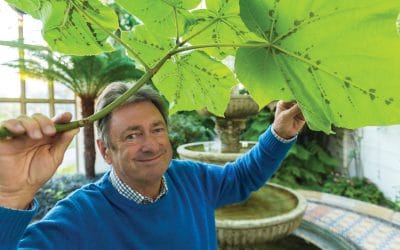 Alan Titchmarsh: Tips on gardening for May and his 10 magic moments