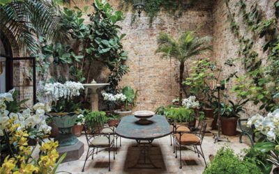 Winter garden: Creating a posh and pampered indoor greenhouse