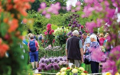 Green fingers? These are the best garden shows and festivals to visit in 2020