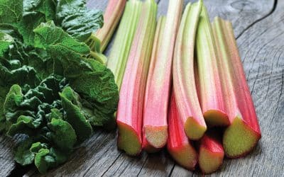 Seasonal tips and recipes: Britain’s bounty of February produce