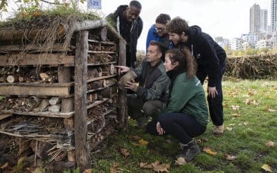 Chris Packham calls on families to create wildlife sanctuaries in their gardens and on their windowsills