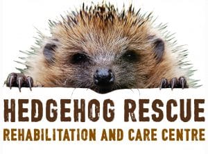 Hedgehog Rescue