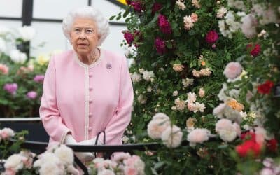 Blooming lovely! The Queen and royal family share favourite blooms to mark Chelsea Flower Show