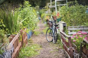 Allotment