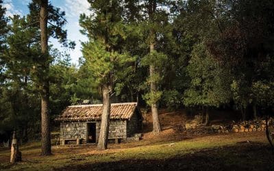 Cabin Fever? 15 ways stop you going ‘stir crazy’ during lockdown