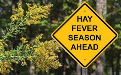 Atchoo! Top tips for hay fever sufferers this Spring and Summer