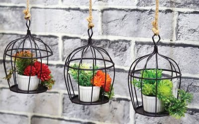 Spruce up your garden: Ideas to decorate your outside space