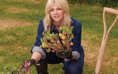 Zoe Ball: I caught the gardening bug and now I’m desperate to help the bees