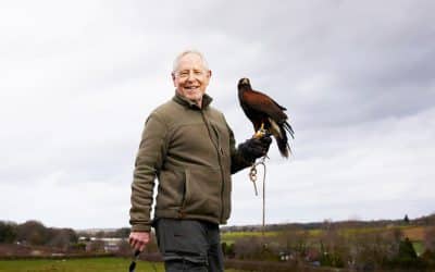 A new start after 60: I worked in a tiny office for 30 years – then I took up falconry and am out in rain, shine and cold’