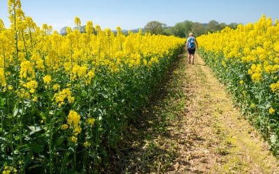 5 ways to treat hay fever without medication