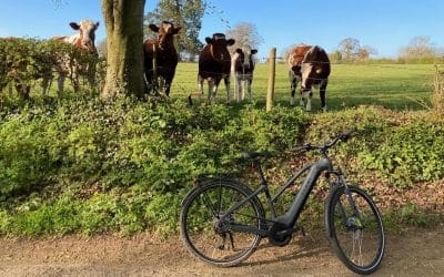 Cheese, cider & cycling: A tasty tour of the West Country