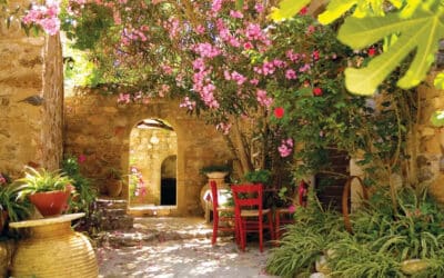 Escape to the Med: How to bring a touch of the Mediterranean to your garden