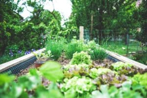 Gardening