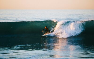 Wild at heart: Family nature holidays in the UK