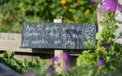 Green goodness: 10 ways gardening can enhance your wellbeing
