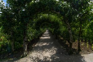 Heligan