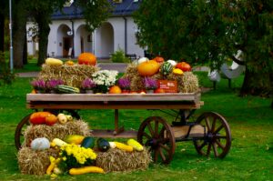 Autumn Veg