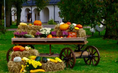 Embracing Autumn: A season of renewal