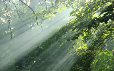 Body reset: How to conduct an autumn health MOT