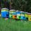 Office buzz: UK employers turn to beehives to boost workplace wellbeing