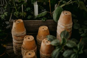 Plant Pots