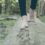 The unlikely appeal of barefoot hiking: ‘It makes you feel quite primal’