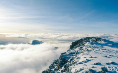 I climbed Mount Kilimanjaro on my hands