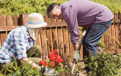 Older people can HALVE risk of dementia by gardening, dancing or going for brisk walks