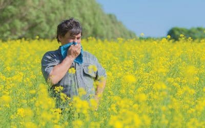 Atchoo! 10 easy ways to ease your hay fever symptoms this Summer
