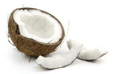 Coconuts’ health bounty