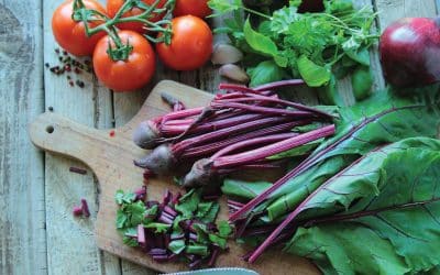 Reduce your grocery bill: How to grow new vegetables from kitchen scraps
