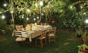 Outdoor Dinner party