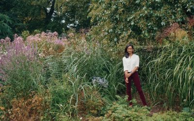 ‘The pandemic lit a fire inside me’: How three high-fliers retrained as garden designers