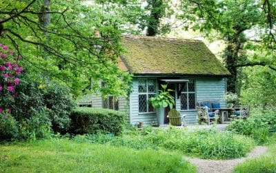 Into the woods: How an old shed inspired hundreds of stories