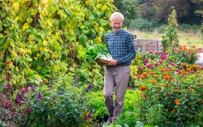 Green ‘healthy’ fingers: How gardening can save your life -from cutting isolation to mental health benefits