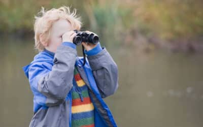 Feathered friends: How do you get your grandchildren interested in birdwatching?