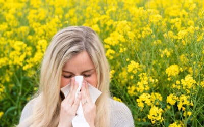 Hay fever ‘misery’ for millions this pollen season – expert advice for prevention and treatment
