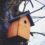 Safe haven: 5 ways to help garden birds this nesting season
